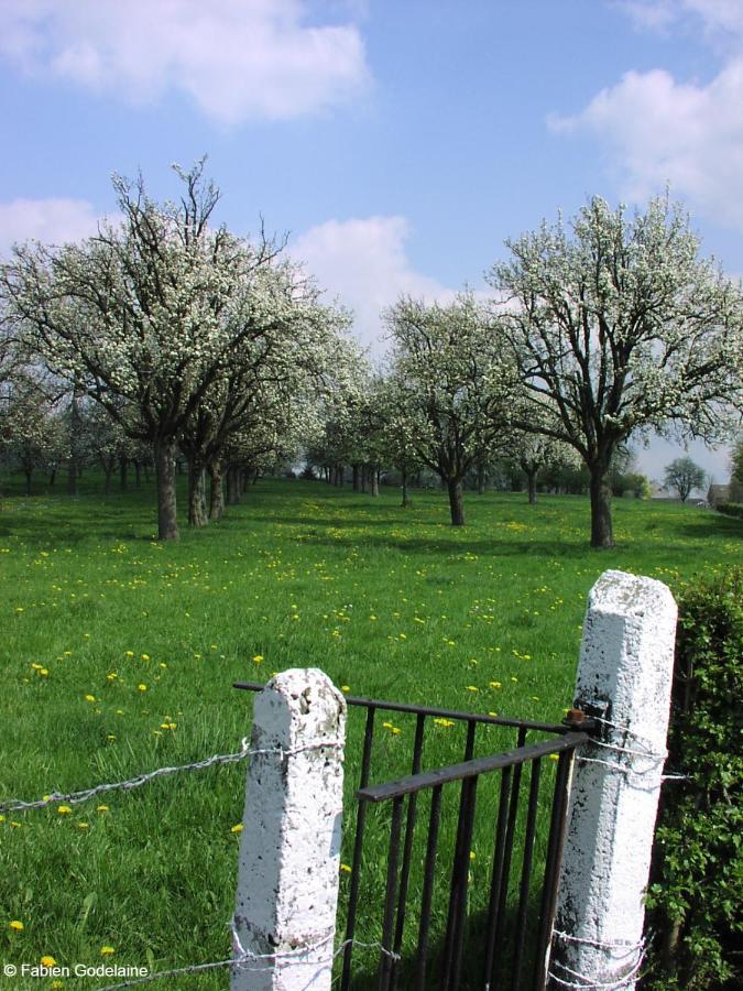 O Macra B&B - Aubel, Pays De Herve Exterior photo